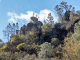 Pinnacles 004